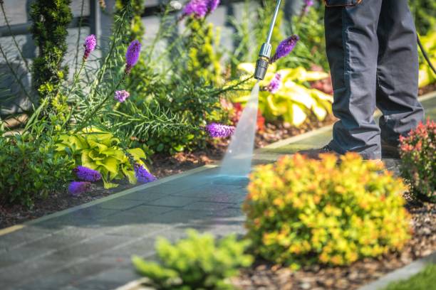 Williamsville, NY  Pressure Washing Services Company